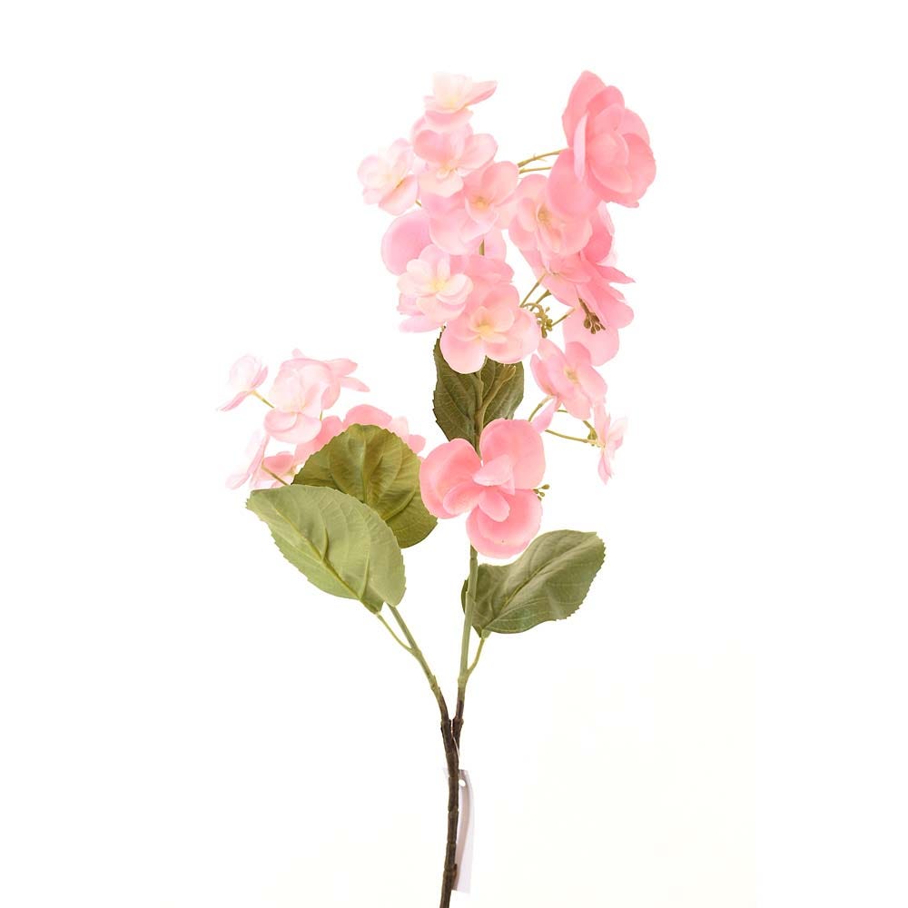 AW21  Rejoice  Pink    hydrangea